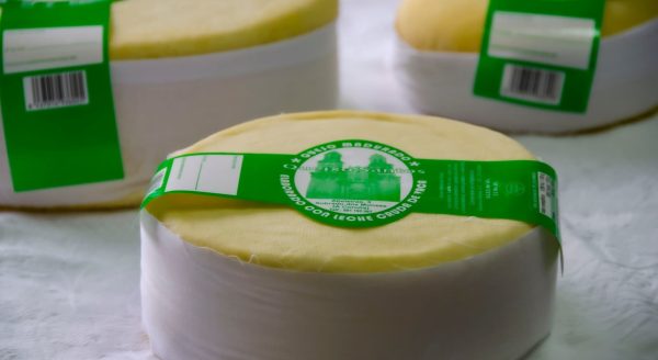 queso de 2kg madurado