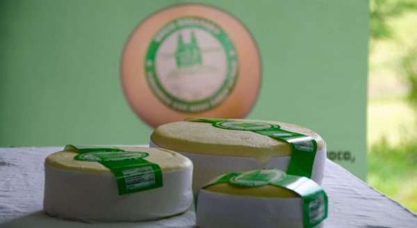 queso de 3kg madurado